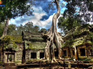 cambodia-heritage-tour-5-days5