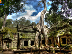 cambodia-timeless-charm-tour-9-days