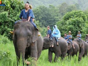 northen-thailand-discovery-tour-8-days15