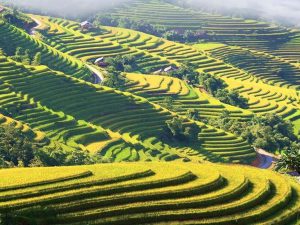 north-east-vietnam-discovery-tour-10-days12