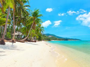 thailand-tour-with-amazing-experiences-4-days23