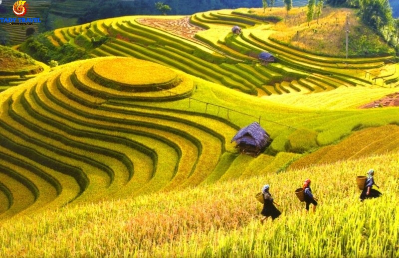 top-14-beautiful-destinations-you-should-visit-in-vietnam7